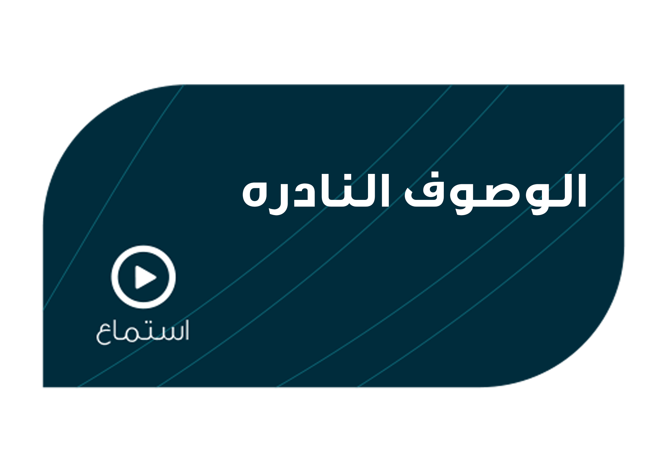 تصميم الوصوف النادره